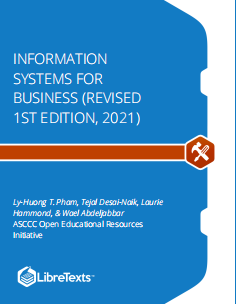 Information systems for business