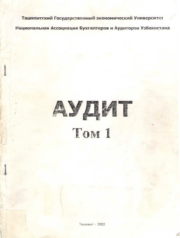 Аудит.  1 том.