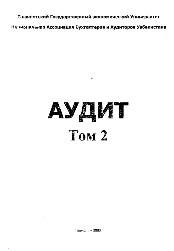  Аудит 2 том.
