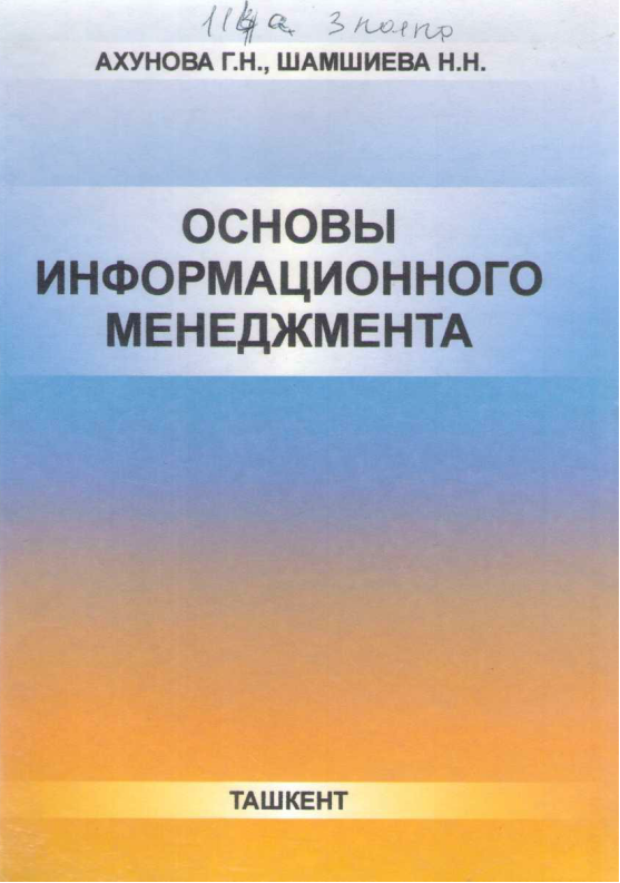 Основы информационного менеджмента. 