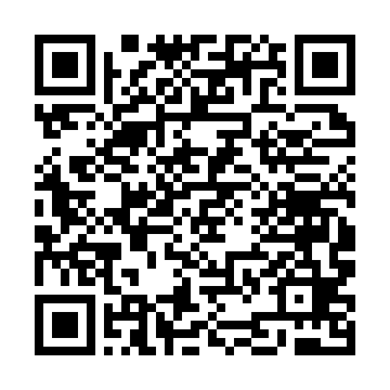 QR kod — Merosxo'r yoki Devid Belfurning sarguzashtlari. 