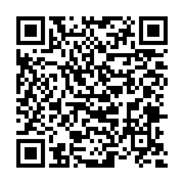 QR kod — Техника проведения аудита. Методическое пособие.