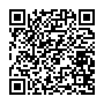 QR kod — Biznes analitika