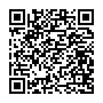 QR kod —  Audit asoslari.