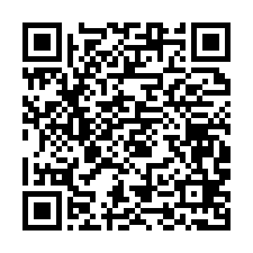 QR kod — Аудит